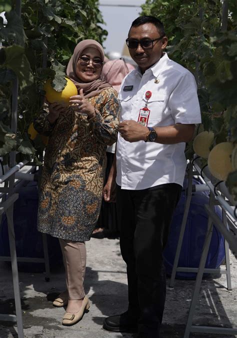 Harmoni Alam Dan Rooftop Revolusi Kisah Green Economy Ala Mohammad