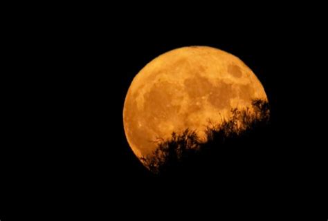 How frequent is the full Harvest Moon? | Space