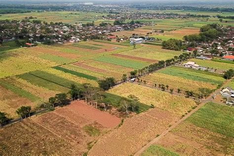 Proyek Tol Kediri Kertosono Harus Bebaskan 2 556 Bidang Tanah Sampai