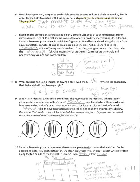 SOLUTION Gene Linkage Simulation Key Studypool