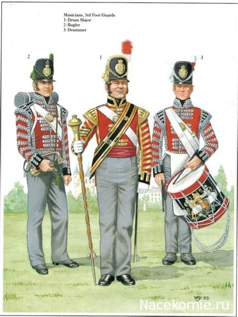 17 Best Images About British Army Napoleonic Era On Pinterest