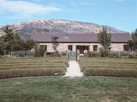 Visiting Wanaka Lavender Farm In Wanaka New Zealand Jana Meerman