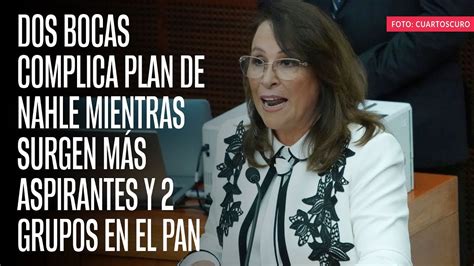 Nahle Va Por Veracruz Roc O Renuncia A Energ A Y Amlo Reconoce Su