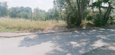 Terreno Venda Em Mealhada Ventosa Do Bairro E Antes Mealhada Re Max