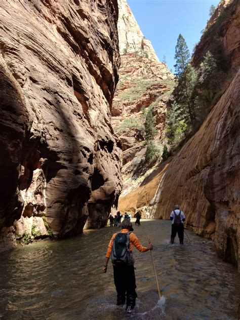 The Narrows in Zion National Park 4/16/18 : CampingandHiking