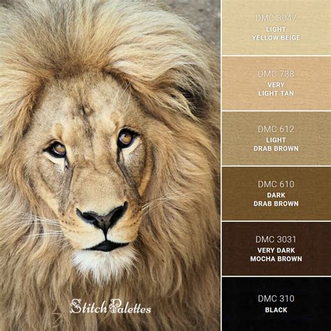 Lions Face Embroidery Color Palette With Thread Codes