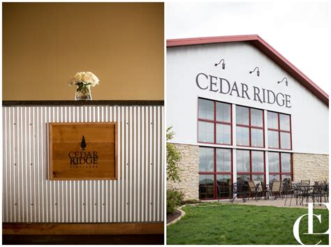 A Cedar Ridge Winery Fall Wedding - Emily Crall Blog | Wedding Photographer