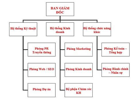 Tổng Hợp 10 Mẫu Sơ đồ Tổ Chức Công Ty Và Hướng Dẫn Cách Xây Dựng Cơ Cấu Dn