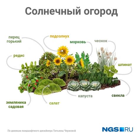 Как сделать грядки и вписать их в ландшафтный дизайн дачи - 25 мая 2024 ...