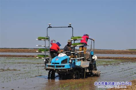 二道河农场有限公司互助插秧提速度 节本增效促丰收 农机新闻网