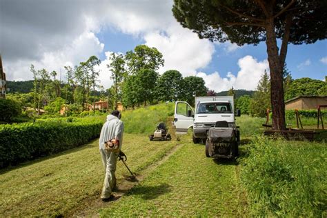 Monte Compatri Manutenzione Del Verde Programmati Gli Interventi In