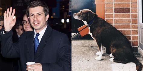 Why Do Pete Buttigieg's Dogs Have Better Social Media Game Than I Do?