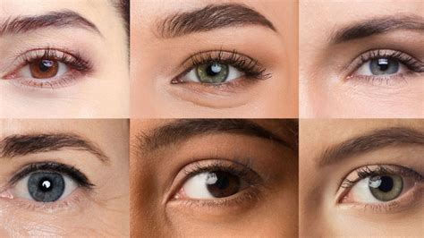 Comprendre Les Facteurs Qui Influencent La Couleur De Vos Yeux