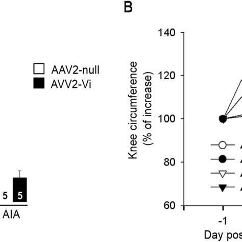 Vasoinhibin Reduces Arthritis And Vegf Induced Vascular Permeability In