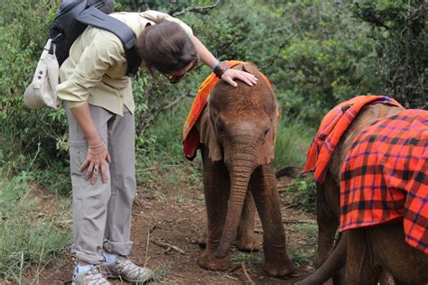 A Visit To An Elephant Orphanage | Popular Science