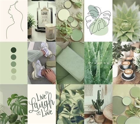 Sage Green Wall Collage Kit 2 Boho Aesthetic Botanical Etsy Boho