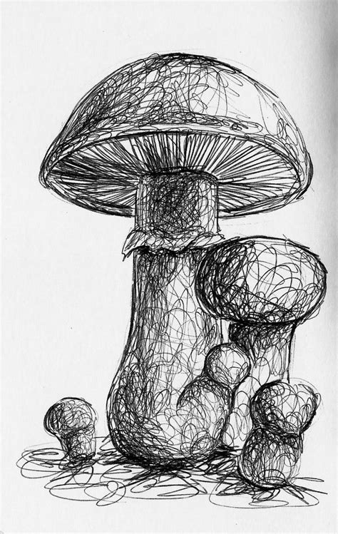 : Photo | Cool art drawings, Art drawings simple, Natural form art