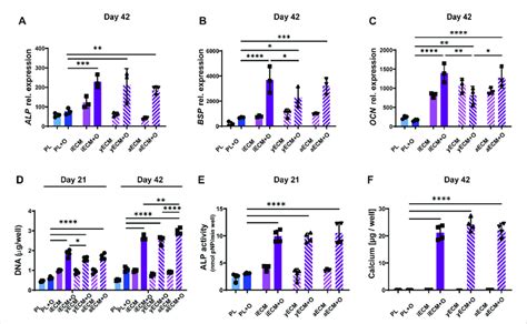 Enhanced Osteogenic Differentiation Of Aged Human Bmscs Grown On Ecm