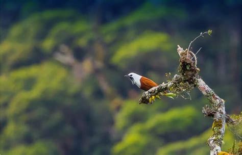 Proyecto Paisajes Productivos apoyó creación de nueva Reserva Biológica