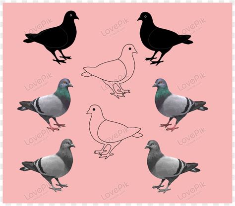 It Is A Pigeon Vector 1 Shapes Wild Icon Png Free Download And