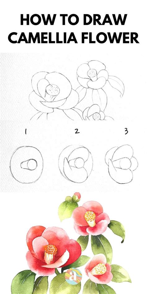 Flower Drawing Easy Tutorials For Beginners To Draw Flower Drawing