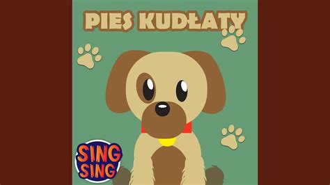 Pies kudłaty - YouTube