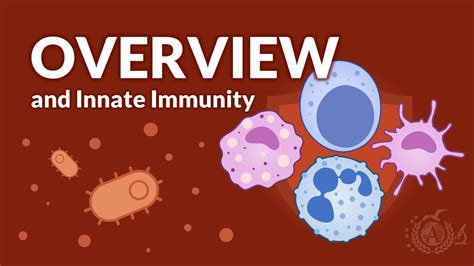 Immunology Generalities And Basic Principles Of Immunity Youtube