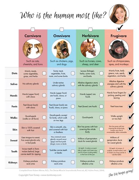 Omnivores Animals Chart A Visual Reference Of Charts Chart Master