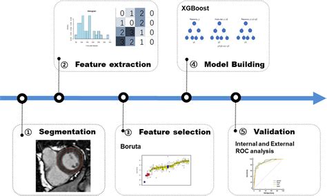 Frontiers Diagnosis Of Cardiac Amyloidosis Using A Radiomics Approach