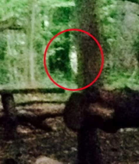 Campers Catch Blair Witch Ghost On Camera In Woods Near Bristol