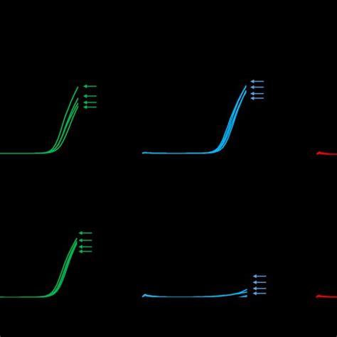 Mechanism Of Action Of Nusinersen Download Scientific Diagram