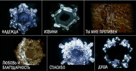 Структура воды меняется от мысли и слова | Тайные Знания | Дзен