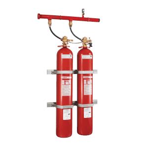 Fire Suppression Systems High Quality Products Eversafe Extinguisher