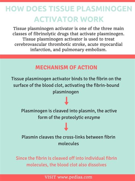 How Does Tissue Plasminogen Activator Work – Pediaa.Com