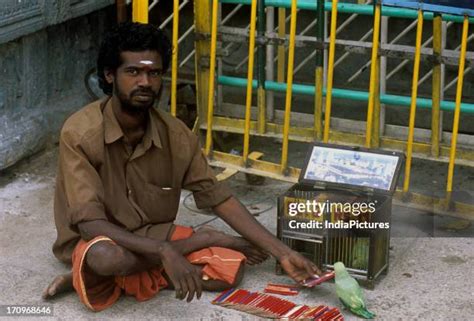 104 Indian Fortune Teller Stock Photos High Res Pictures And Images