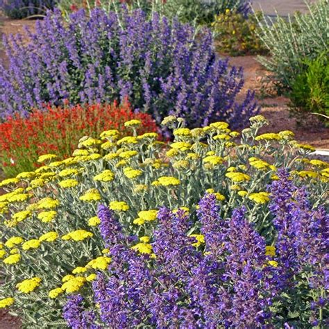 Pre Planned Gardens Garden Design Kits High Country Gardens