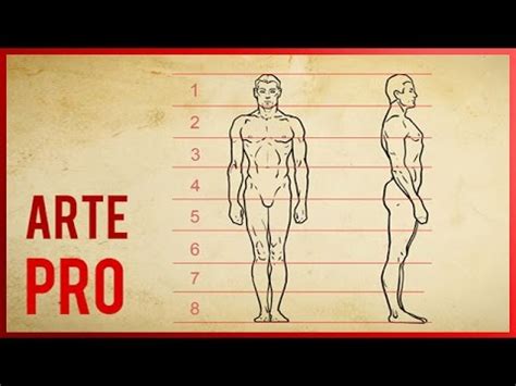 Como Dibujar El Cuerpo Humano Proporciones YouTube