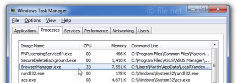 browsermanagerexe windows process