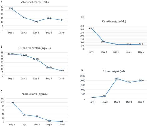 Frontiers Sepsis Caused By Emphysematous Pyelonephritis A Case Report