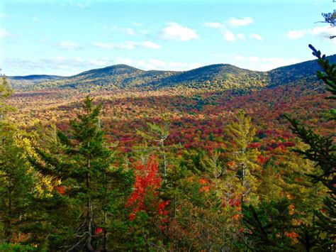 Adirondack Lots Enhanced By Spring Summer Colors Adirondack Mt Land