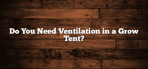 Do You Need Ventilation in a Grow Tent? - Inter Culturalu