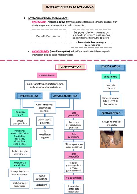 antibioticos betalactamicos Esquemas y mapas conceptuales de Farmacología