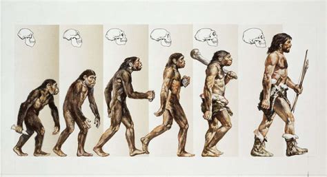 12 Surprising Facts About Evolutionary Biology Techniques - Facts.net