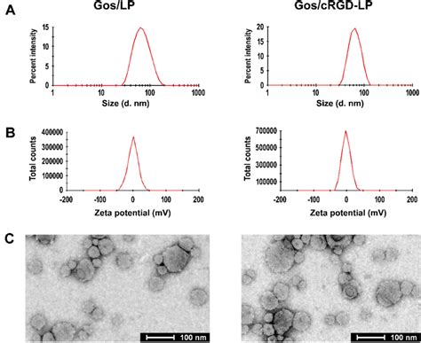 A Particle Size Distribution B Zeta Potential And C Tem Images