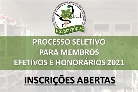 Processo Seletivo Para Membros Efetivos E Honor Rios Liga