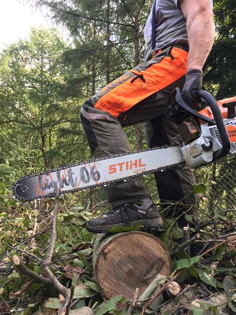 Wycinka drzew krzewów ścinka podcinanie skracanie drwal alpinista