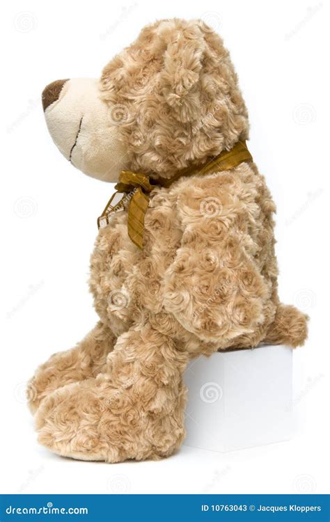 Standing Fluffy Brown Teddy Bear From Side Stock Image Image Of Doll