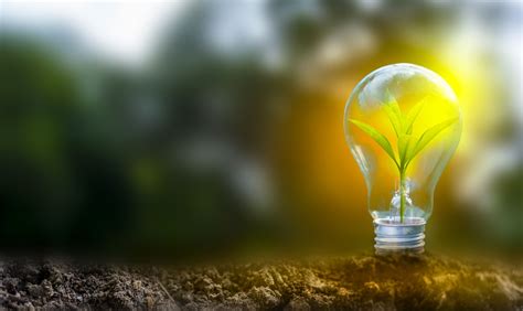 eEnergy Group increases its stake in eEnergy Insights - Vox Markets