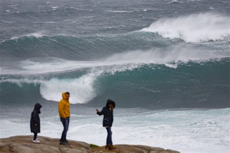 Foto Mar Encrespado Árboles Caídos Olas Montañosas Los Efectos