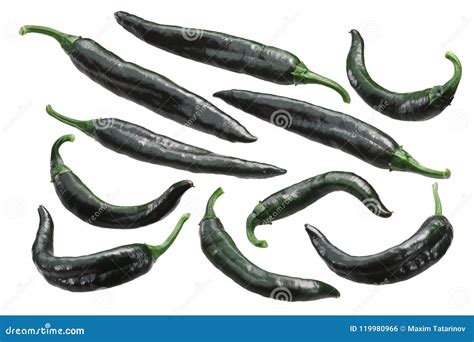 Chilaca Pasilla Chile Peppers, Paths Stock Photo - Image of mexican ...